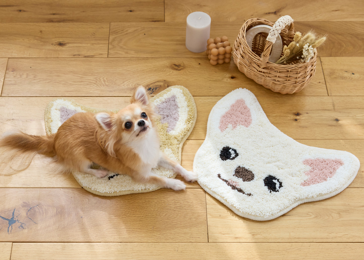 イヌカオ・チワワ｜玄関マット・チェアパッド｜＜全3色＞