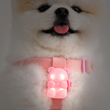 BITE ME （バイトミー） グミベア LED 充電式ウィンカー ＜全3色＞