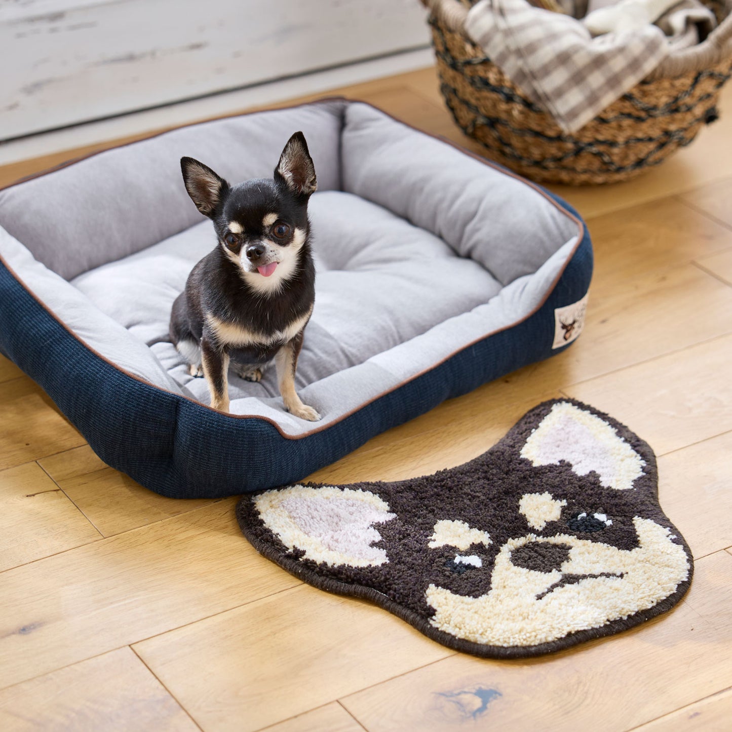 イヌカオ・チワワ｜玄関マット・チェアパッド｜＜全3色＞