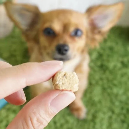 【FISH4DOGS】フィッシュフォードッグ フリーズドライ トリーツ