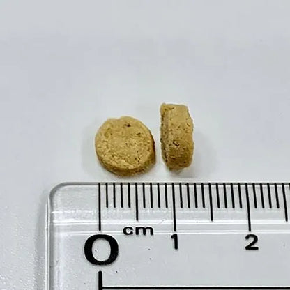 ホリスティックフードケア　ドライタイプ＜全2サイズ＞ ドッグフード 総合栄養食 トッピング 手作りごはん