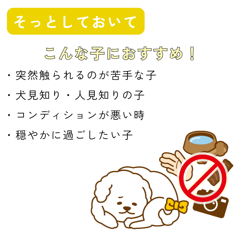 【送料無料】[DADADAオリジナル]お散歩メッセージワッペン 全7種 犬用 お出かけ用品 メッセージタグ