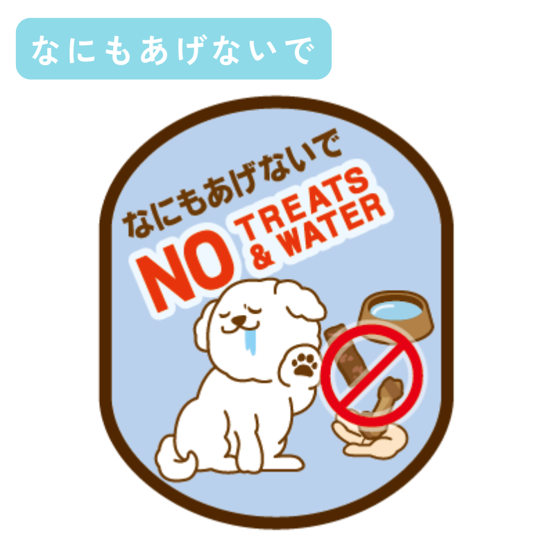 【送料無料】[DADADAオリジナル]お散歩メッセージワッペン 全7種 犬用 お出かけ用品 メッセージタグ