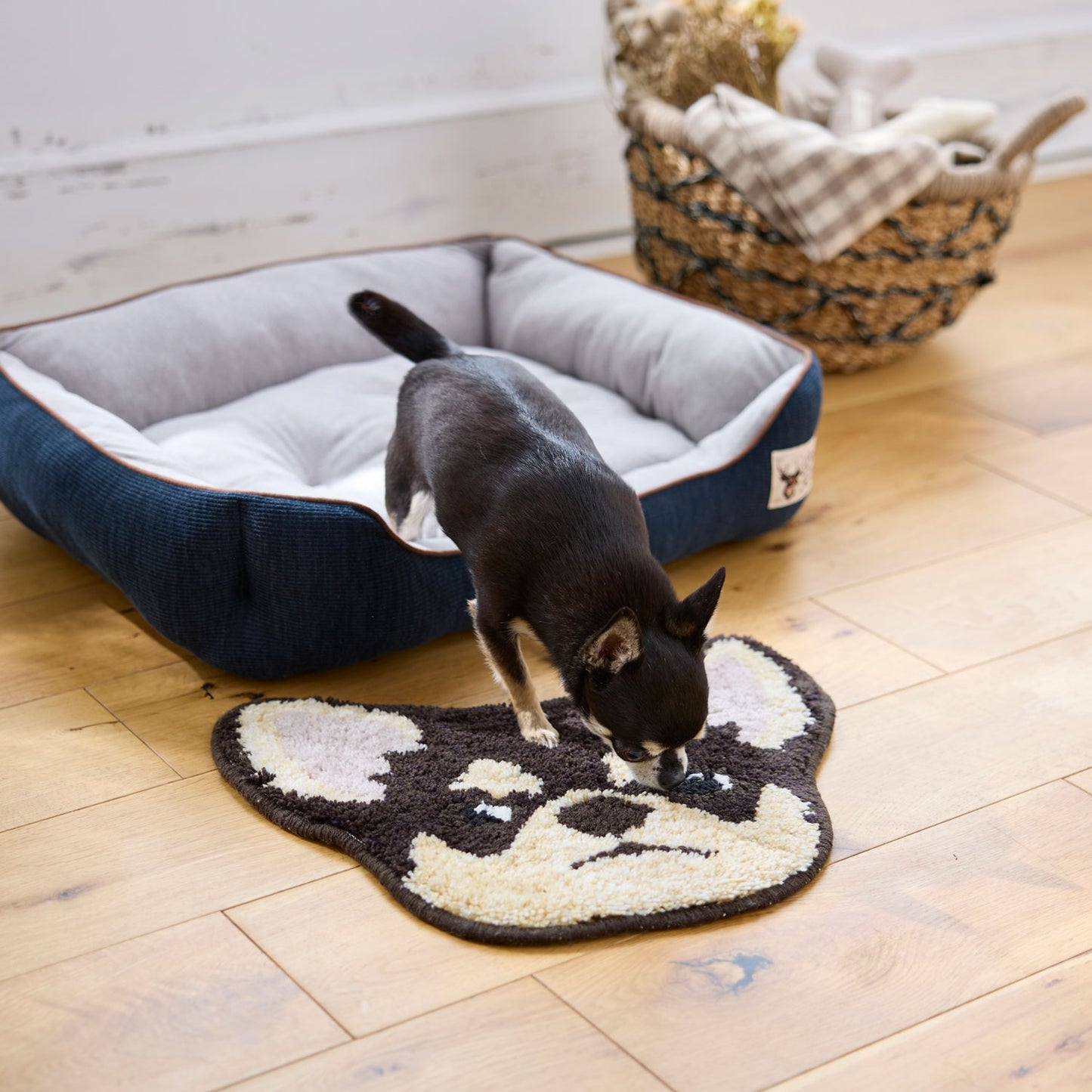 イヌカオ・チワワ｜玄関マット・チェアパッド｜＜全3色＞