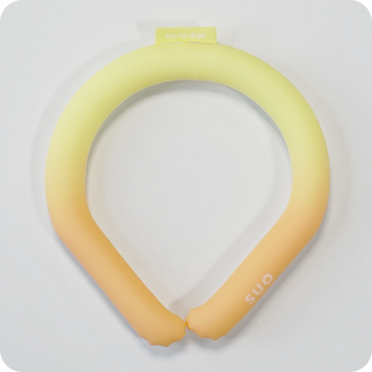 SUO（スオ）2023 SUO 28°ICE COOL RING クールリング ボタンなし 熱中症対策 クールアイテム ペット用