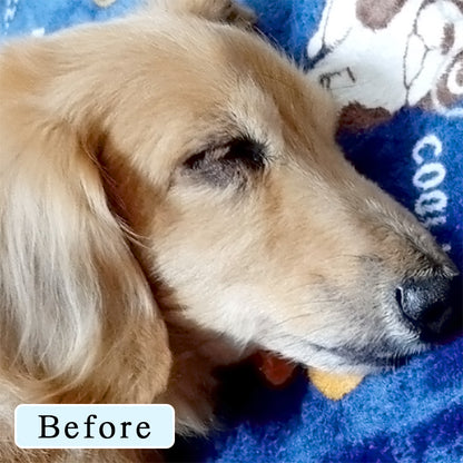 SCALP DOG（スカルプドッグ） フワフワヘア（無香料）＜120ml＞ 被毛ケア 皮膚ケア 育毛