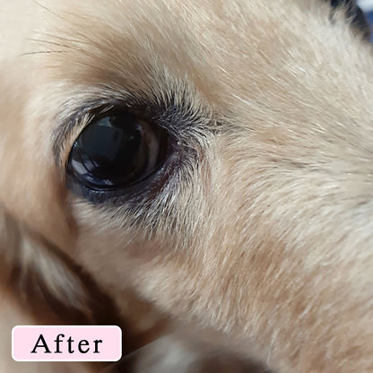 SCALP DOG（スカルプドッグ） フワフワヘア（無香料）＜120ml＞ 被毛ケア 皮膚ケア 育毛