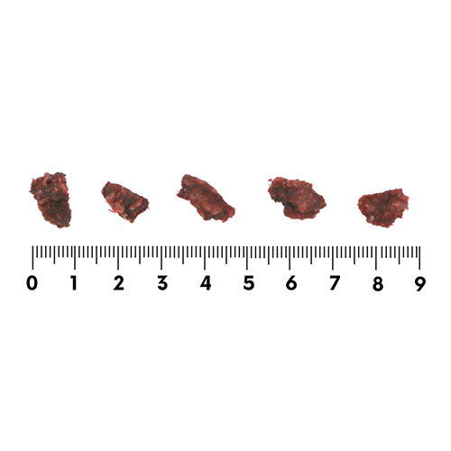 【ROCCA】ロッカ　エアドライ　鹿ミートビッツ（FOR DOG） <全2サイズ>　北海道産 えぞ鹿肉 犬用おやつ トッピング