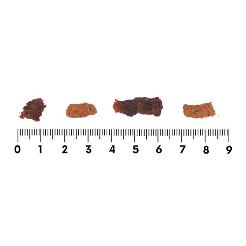 【ROCCA】ロッカ　エアドライ　鹿バラエティミートビッツ（FOR DOG） <全2サイズ>　北海道産 えぞ鹿肉 犬用おやつ トッピング