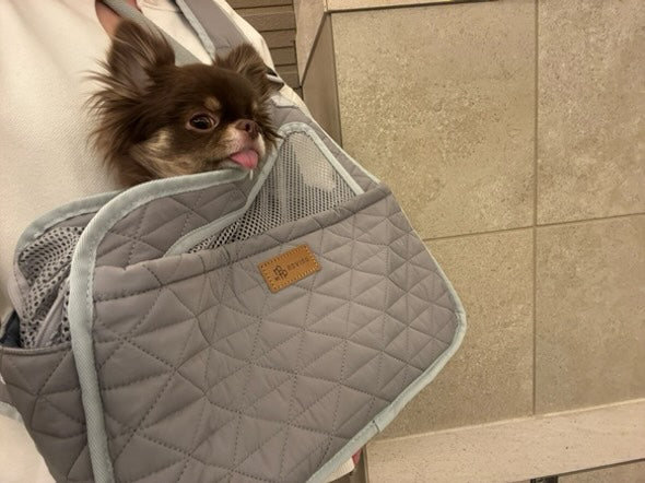 DADADAnovino（ダダダノビノ）フロントスリングバッグ ver.2 犬用 ＜全