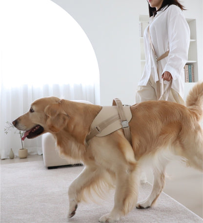［数量限定］hozi（ホジ） サドルハンズフリーリーシュ ＜S/Lサイズ＞犬用 小型犬 中型犬 超大型犬 大型犬用