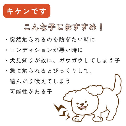【送料無料】[DADADAオリジナル]お散歩メッセージワッペン 全7種 犬用 お出かけ用品 メッセージタグ
