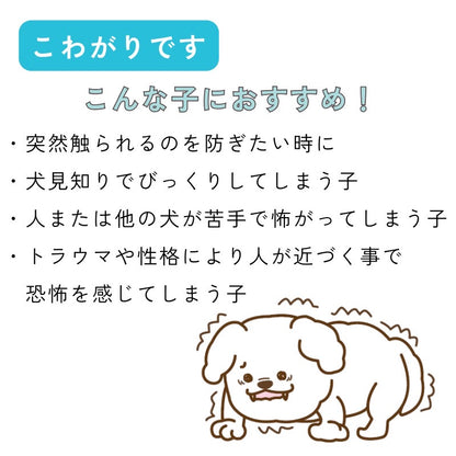 【送料無料】[DADADAオリジナル]お散歩メッセージワッペン 全7種 犬用 お出かけ用品 メッセージタグ