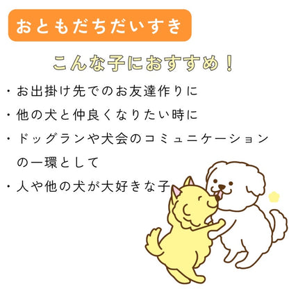 【送料無料】[DADADAオリジナル]お散歩メッセージワッペン 全7種 犬用 お出かけ用品 メッセージタグ