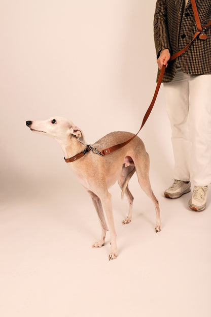 ［数量限定］hozi（ホジ） サドルハンズフリーリーシュ ＜S/Lサイズ＞犬用 小型犬 中型犬 超大型犬 大型犬用