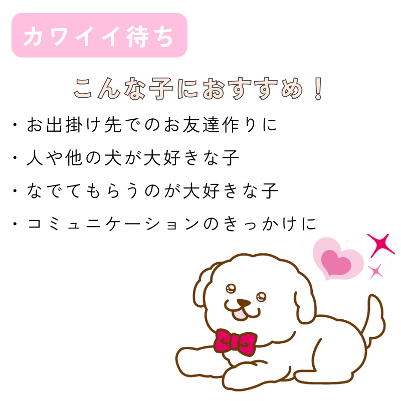 【送料無料】[DADADAオリジナル]お散歩メッセージワッペン 全7種 犬用 お出かけ用品 メッセージタグ