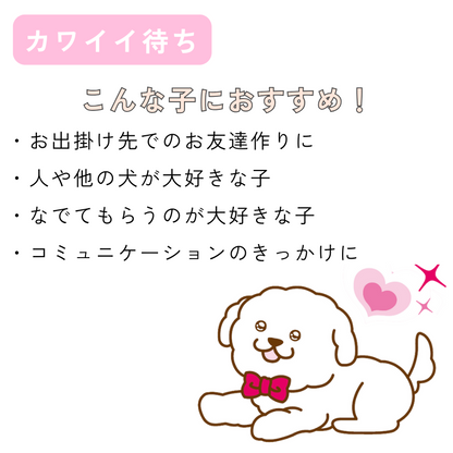 【送料無料】[DADADAオリジナル]お散歩メッセージワッペン 全7種 犬用 お出かけ用品 メッセージタグ