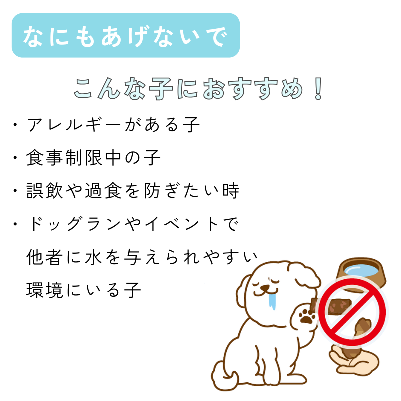 【送料無料】[DADADAオリジナル]お散歩メッセージワッペン 全7種 犬用 お出かけ用品 メッセージタグ