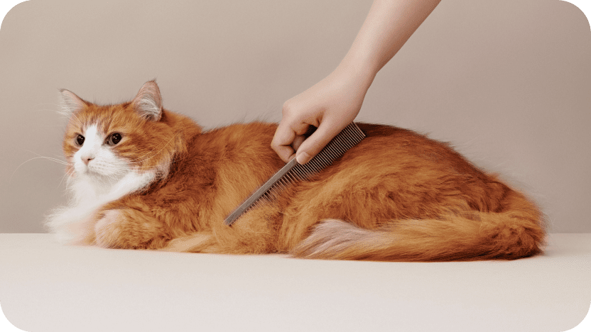 MEDICAT（メディキャット）モイストクリーム MOIST CREAM スキンケア 皮膚・被毛ケア 猫用