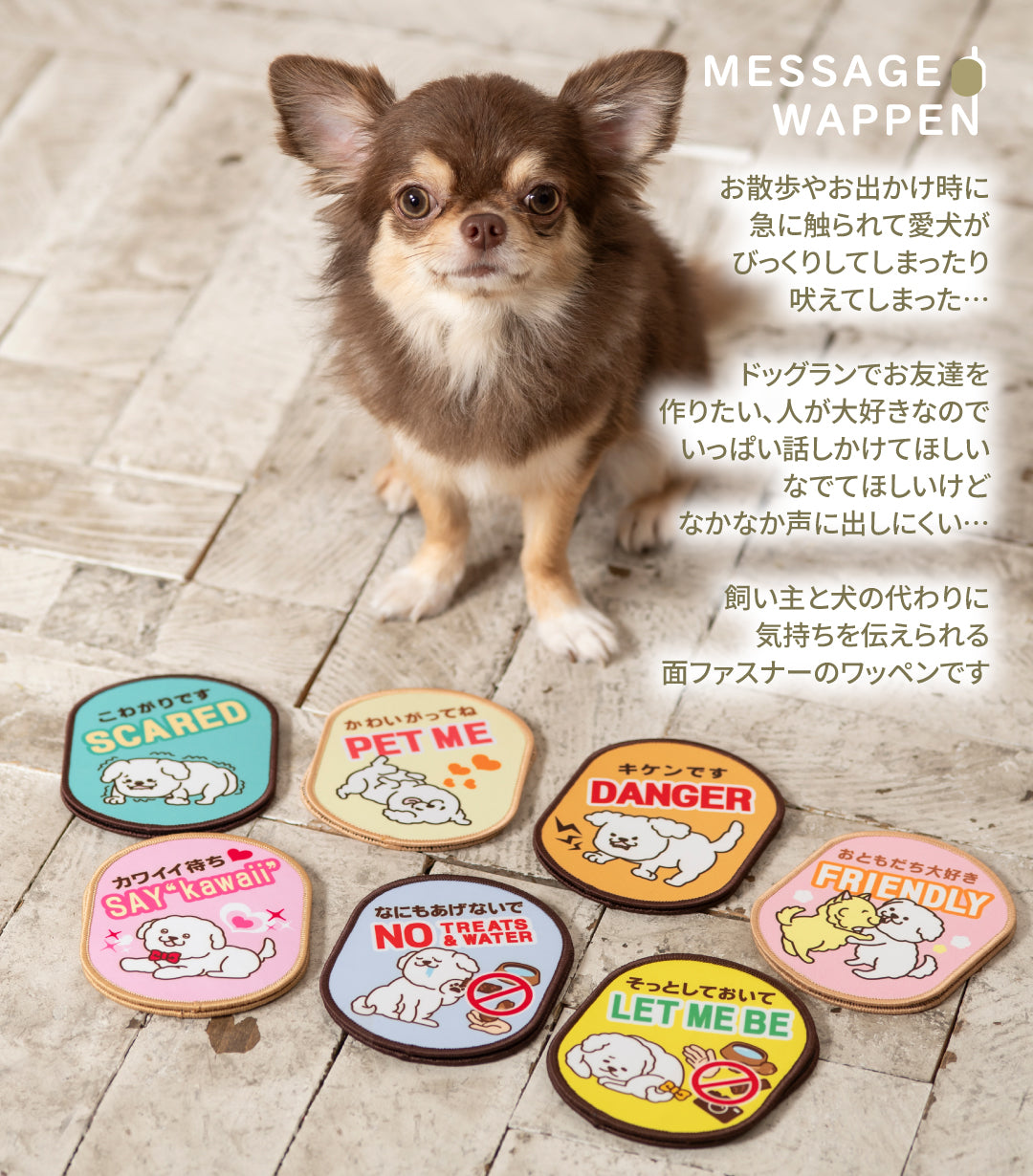 【送料無料】[DADADAオリジナル]お散歩メッセージワッペン 全7種 犬用 お出かけ用品 メッセージタグ