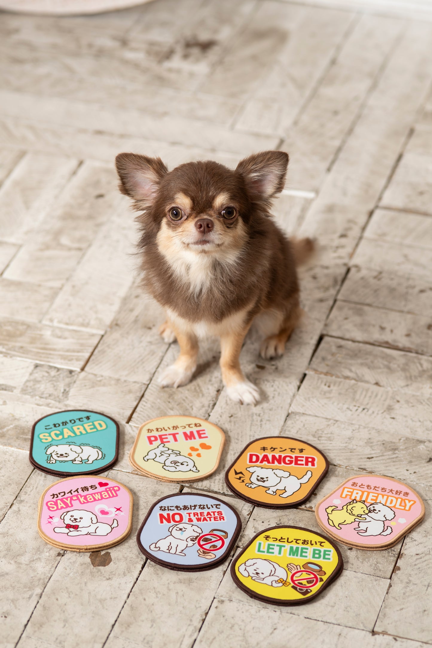 【送料無料】[DADADAオリジナル]お散歩メッセージワッペン 全7種 犬用 お出かけ用品 メッセージタグ