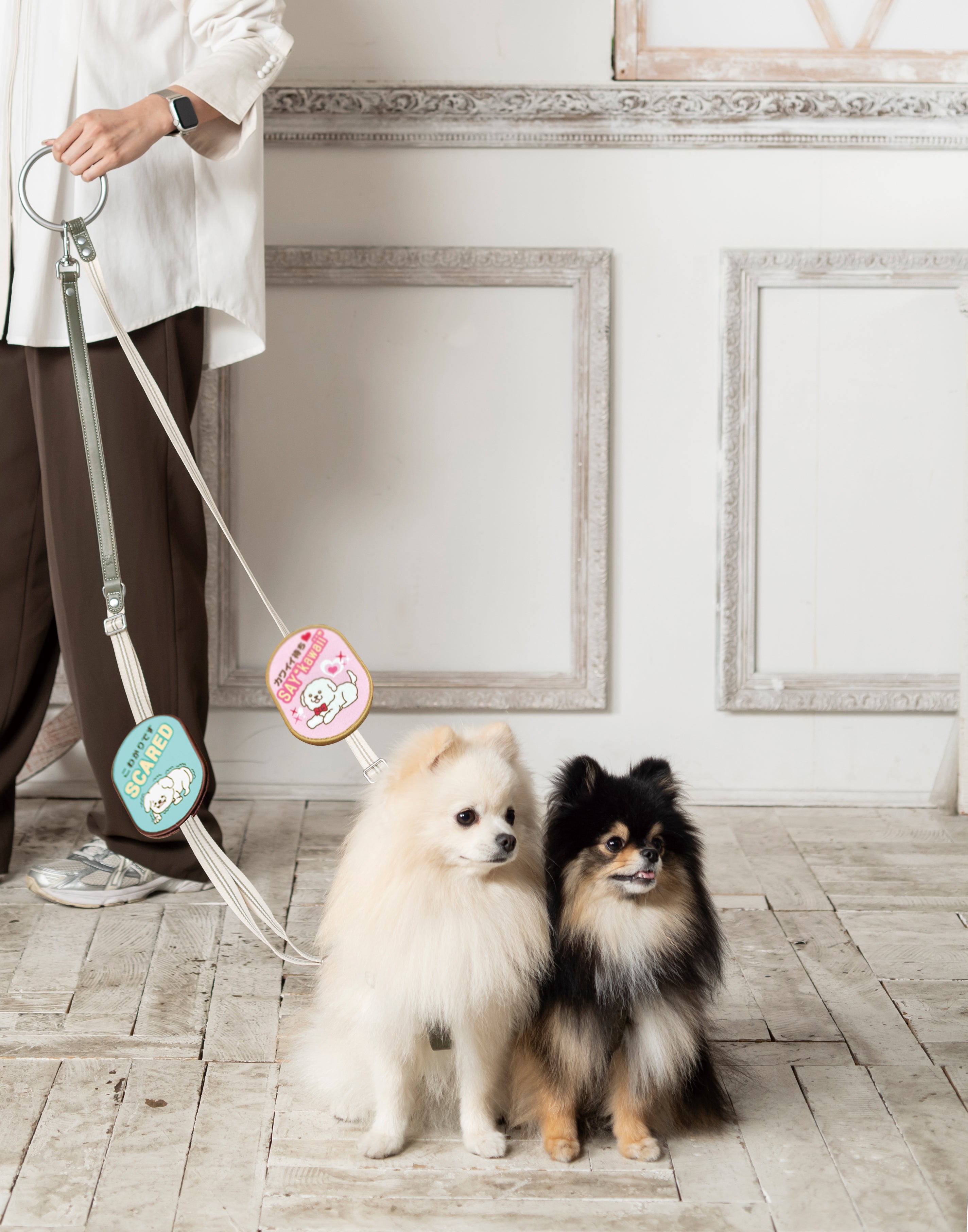 送料無料】[DADADAオリジナル]お散歩メッセージワッペン 全7種 犬用