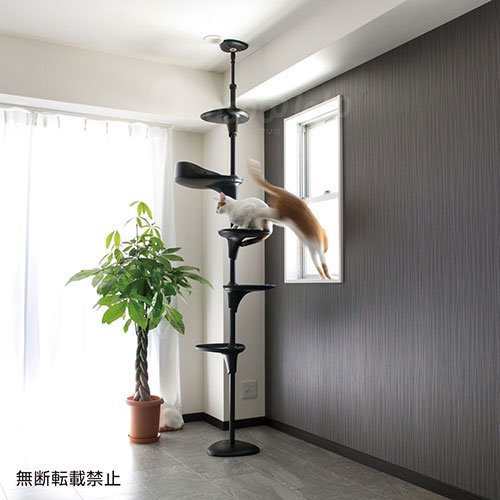 OPPO Cat Forest オッポ キャットフォレスト OPPO(オッポ)CatForest-2 / オッポ キャットフォレスト2
