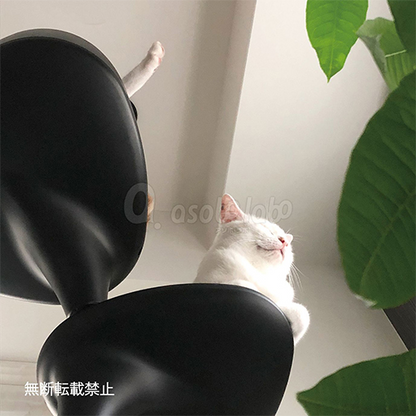 OPPO（オッポ）CatForest-2 / オッポ キャットフォレスト2 キャットタワー 