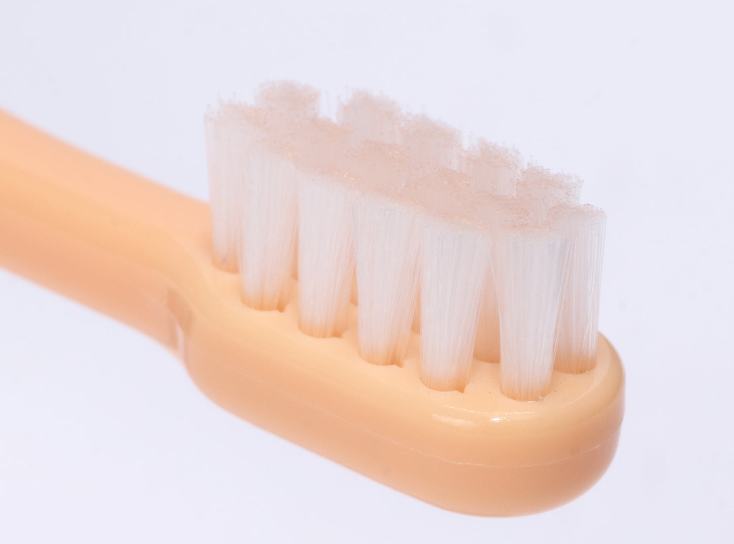 OraBio（オーラバイオブラシ）＜全4タイプ＞ 歯磨き 歯ブラシ デンタルケア ペット用