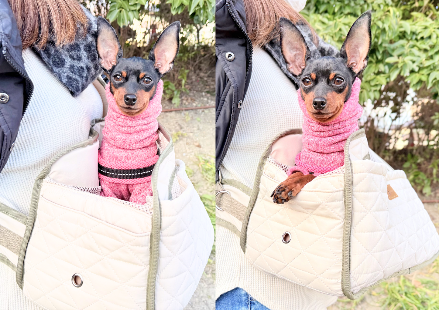 DADADAnovino（ダダダノビノ）フロントスリングバッグ ver.2 犬用 ＜全