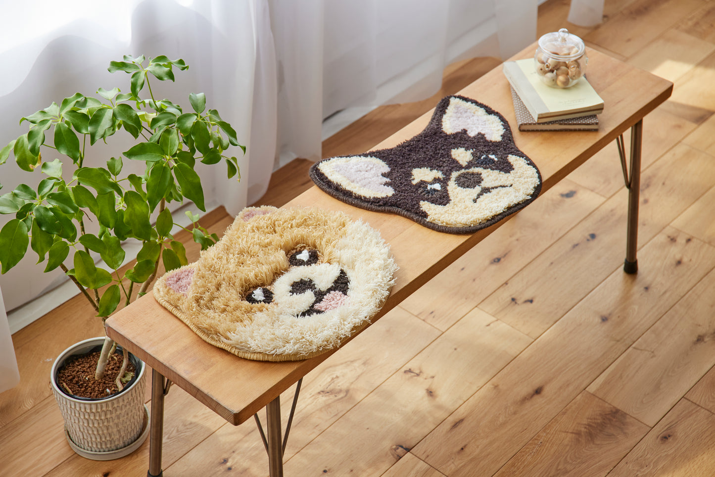 イヌカオ・チワワ｜玄関マット・チェアパッド｜＜全3色＞