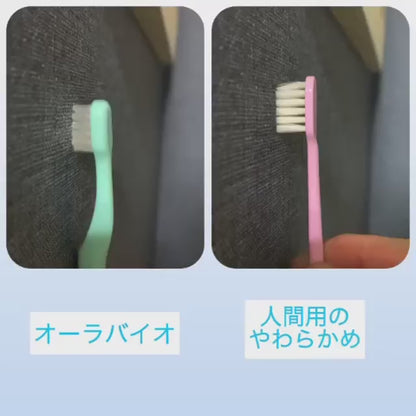OraBio（オーラバイオブラシ）＜全4タイプ＞ 歯磨き 歯ブラシ デンタルケア ペット用