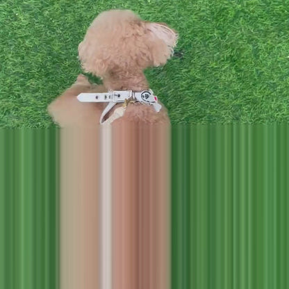 DADADAnovino（ダダダノビノ）マナーベルト 犬用 おむつ